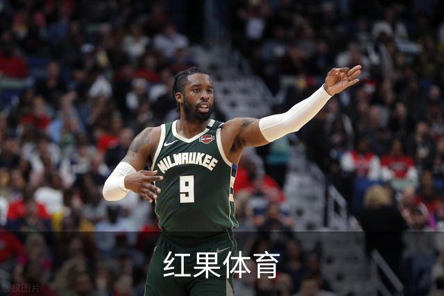 红果体育公司介绍
